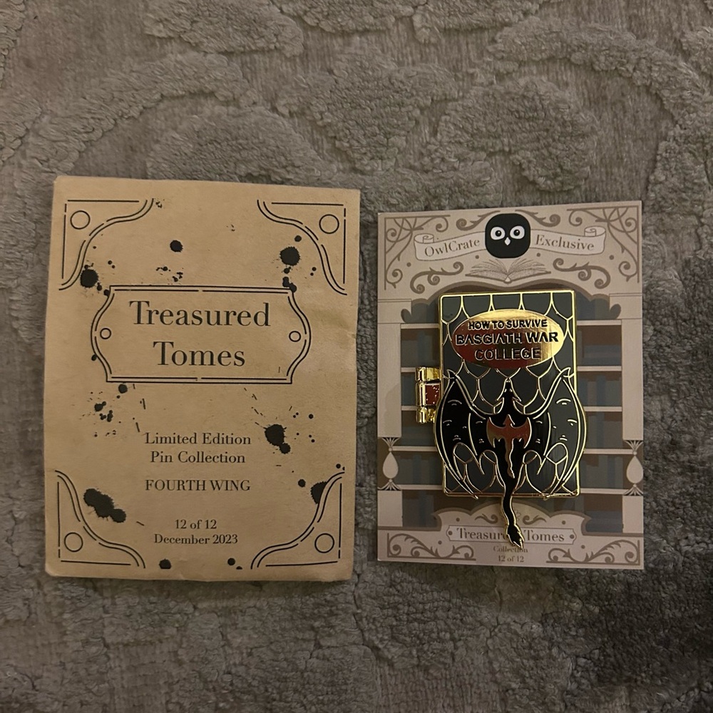NEW Dragon Themed / Fourth Wing Book Merchandise / Goodies Bundle Box - Picture 7 of 16